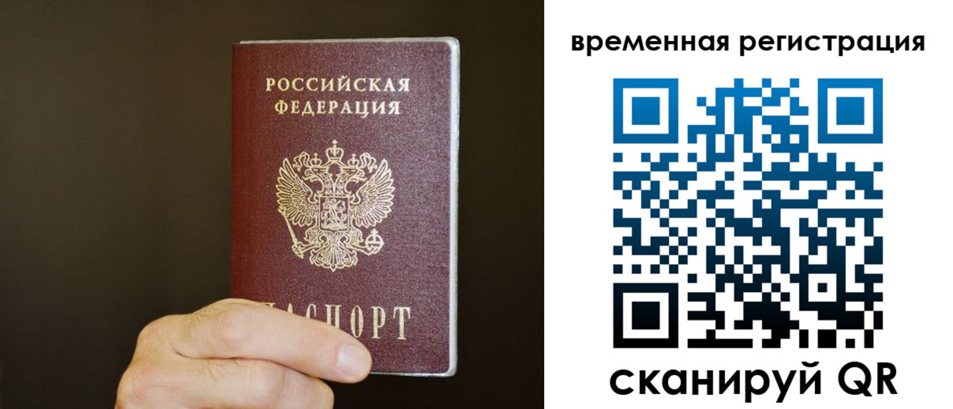 прописка гарантия в Козельске